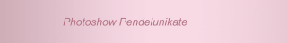 Photoshow Pendelunikate